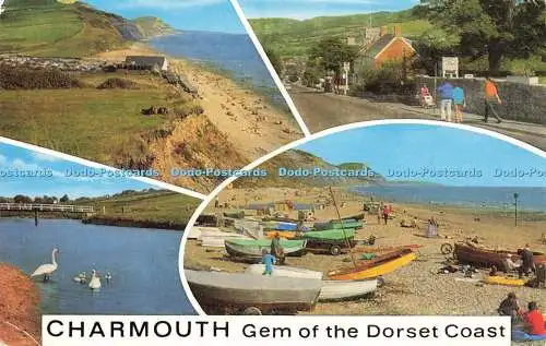 R572878 Charmouth Gem of Dorset Coast Salmon 1978 Multi View