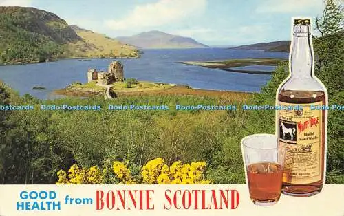 R572996 Good Health from Bonnie Scotland S11 Scotty Series Bamforth 1983