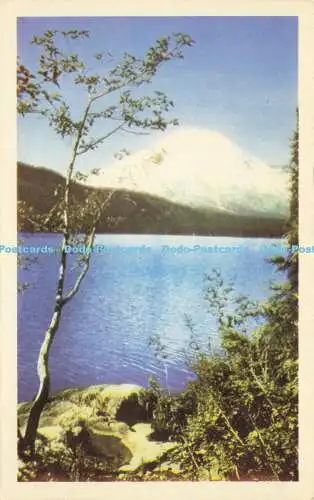 R575176 Mt St Helens vom Spirit Lake Einer der schönsten Orte im Nordwesten Washingtons