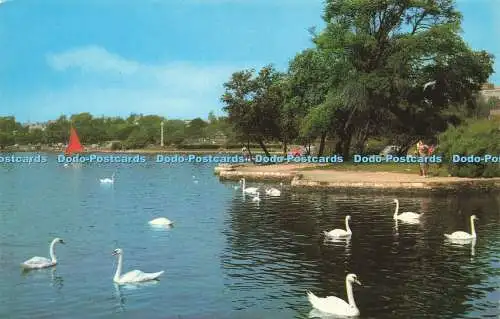 R575929 Lake Poole Park