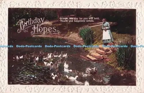 R732990 Birthday Hopes Ducks Pond RP