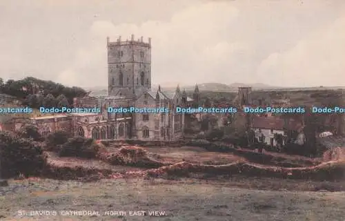 R733086 St Davids Cathedral North East View