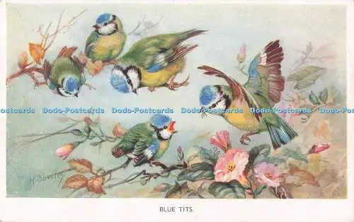 R733159 Blue Tits Valentine Fine Art M Bowley