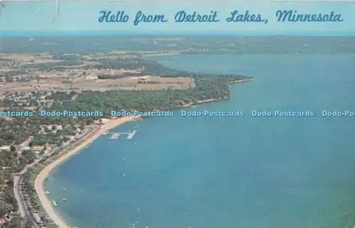 R733852 Minnesota Hello From Detroit lakes Northern Minnesota Novelties Dexter P