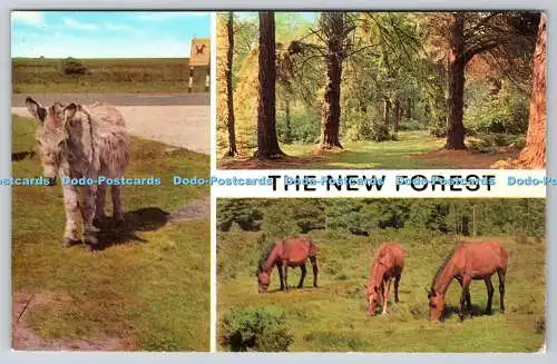 R734124 The New Forest J Salmon Sevenoaks 1978 Multi View