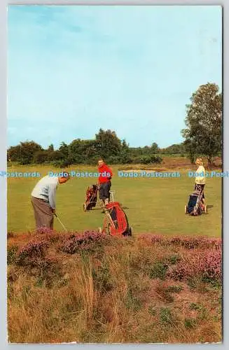 R734580 Britische Landschaft auf den Golflinks J Salmon Sevenoaks PM Malvern Worc