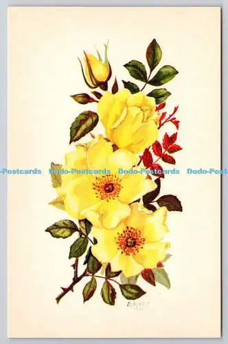 R734757 Yellow Roses Photo Precision Colourmaster International