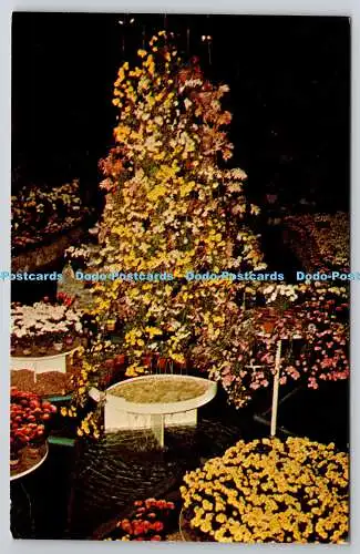 R735258 Mo St Louis Forest Park Jewel Box A Topik Color Argro Foto and Postcard