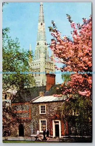 R735393 Norwich Cathedral From the Upper Close Jarrold