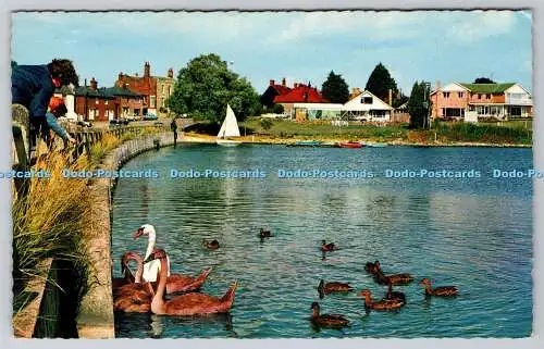 R735813 St Osyth The Boating Lake D Constance Littlehampton Sussex John T Pullen