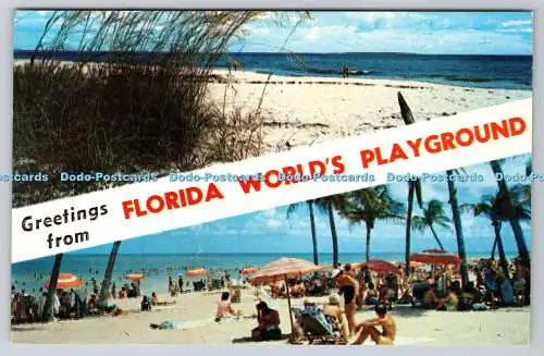 R736007 Grüße vom Florida World Playground Typische Szenen von Florida Florid