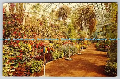 R736068 Rhyl The Floral Hall Plastichrome von Colourpicture Eric F Baxter