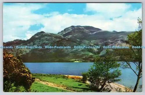 R736127 Loch Lomond und Ben Lomond aus der Nähe von Luss E T W Dennis Scarborough