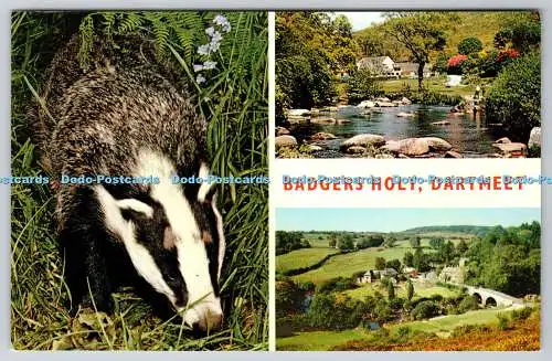 R736148 Dartmeet Badgers Holt Jarrold Norwich England Multi View