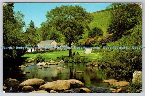 R736629 Dartmeet Dartmoor Badgers Holt Jarrold Norwich England