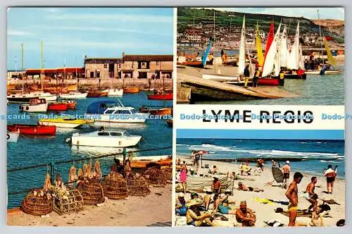 R736704 Lyme Regis Dorset N P O Belfast Dexter Multi View