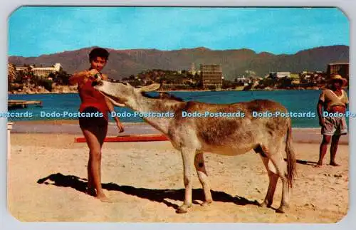 R736784 Acapulco Gro Roqueta Island Swimmer and the Beer Drinking Donkey Lito J