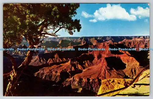 R736838 Arizona Grand Canyon National Park Hopi Point A Mike Roberts Color Produ