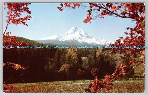 R737045 Oregon Mt Hood Chris a Tone Card Christian Photo Service Ray Atkeson