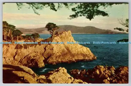 R737121 Calif Monterey Peninsula Midway Point Bell Magazine Agency Selithco True