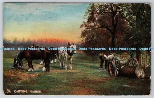 R737313 Carting Timber Our Farm Raphael Tuck and Sons Photochrome Series 4405 19