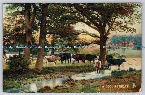 R737472 A Cool Retreat Highland and Lowland Raphael Tuck and Sons Ltd Photochrom