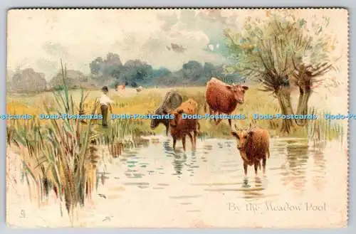 R737507 Am Wiesenbecken Raphael Tuck and Sons In the Country Serie Nr 4093