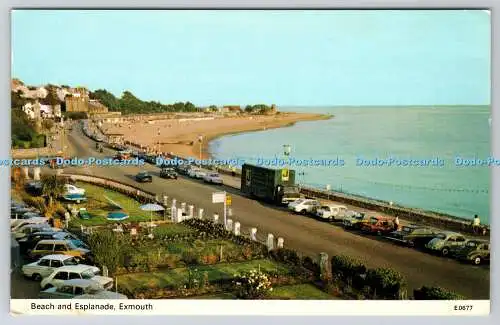 R737638 Exmouth Beach and Esplanade E T W Dennis and Sons Ltd Photocolour