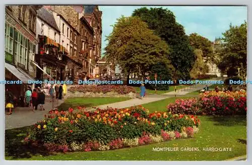 R737942 Harrogate Montpelier Gardens J Salmon Ltd Cameracolour