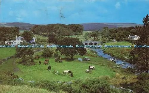 R576407 Postbridge Dartmoor Nicholas Toyne J Dessain 1971