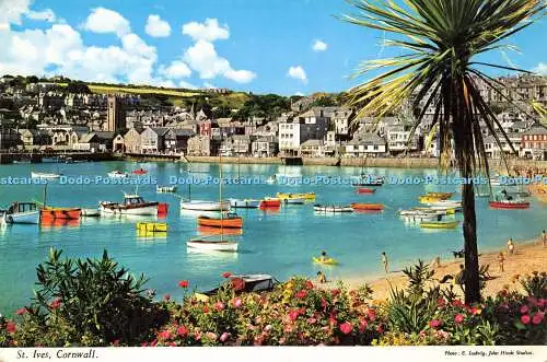 R576459 St Ives Cornwall E Ludwig Hinde 1967