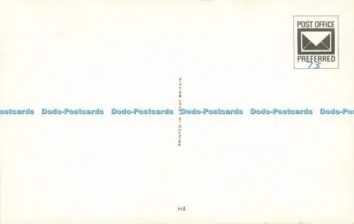 R576508 Pferd