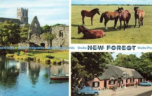R576883 New Forest Thunder and Clayden Dearden and Wade Hinde 1972 Multi View