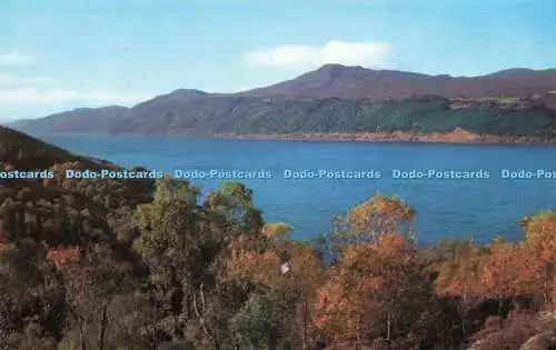 R580198 Inverness Shire Loch Ness from Inverfarigaig J Arthur Dixon 1971