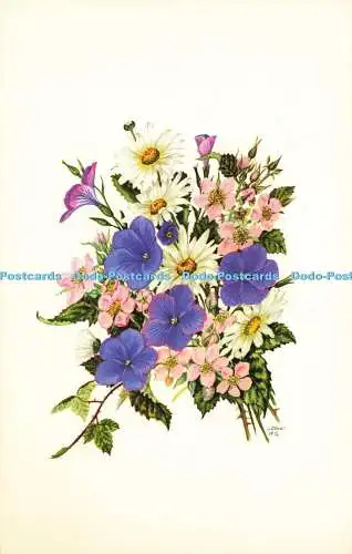 R582435 Flowers Photo Precision Limited Colourmaster International D Bovey 1974