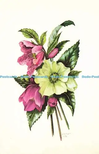 R582436 Flowers Photo Precision Limited Colourmaster International D Bovey 1975