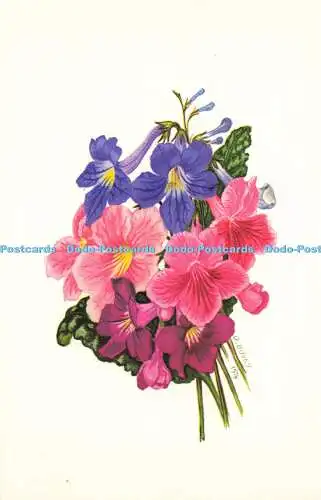 R582437 Flowers Photo Precision Limited Colourmaster International D Bovey 1974