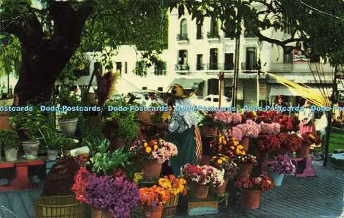 R582485 Mandar Blumenständer 1962