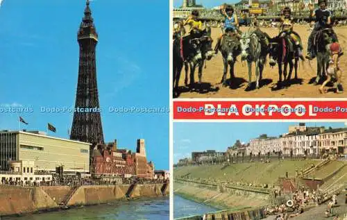 R580252 Blackpool The Tower Donkeys North Promenade E T W Dennis Photocolour Mul