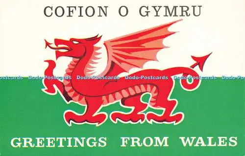 R578122 Greetings from Wales Cofion O Gymru J Salmon Watercolour