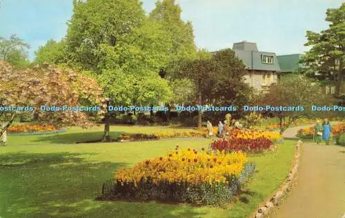 R580280 Exmouth Manor Gardens E T W Dennis Photocolour