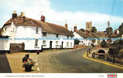 R578144 East Budleigh Cottages and Village Street E T W Dennis Photocolour