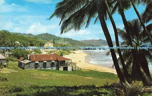 R580406 Westindien Barbados St Joseph Bathsheba Küste Wayfarer Buchhandlung Foto