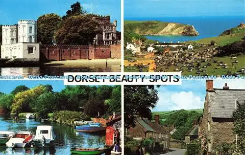 R577549 Dorset Beauty Spots Colourmaster International Precision Multi View