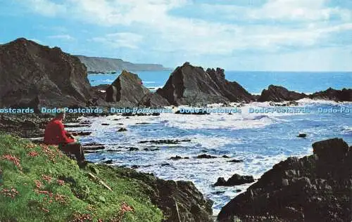 R577608 Küste am Hartland Quay mit Well Beach und Haizähnen Kamelauto