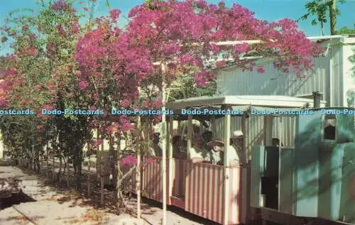 R578383 N Q Great Barrier Reef Hayman Island Train at Railway Station Murray Vie