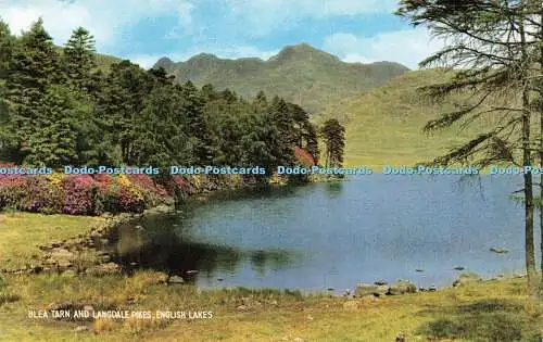 R580559 English Lakes Blea Tarn and Langdale Pikes J Salmon Cameracolour 1971