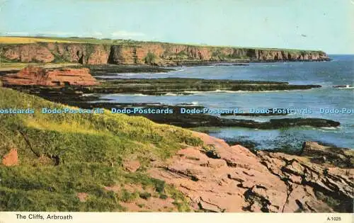 R580584 Arbroath The Cliffs E T W Dennis Photocolour 1973