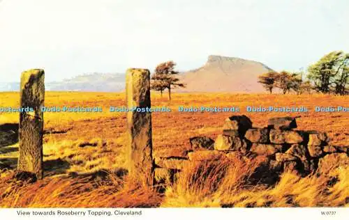 R580634 Cleveland View Towards Roseberry Topping E T W Dennis Photocolour