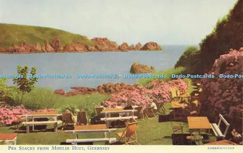 R582975 Guernsey Pea Stacks from Moulin Huet J Salmon Cameracolour